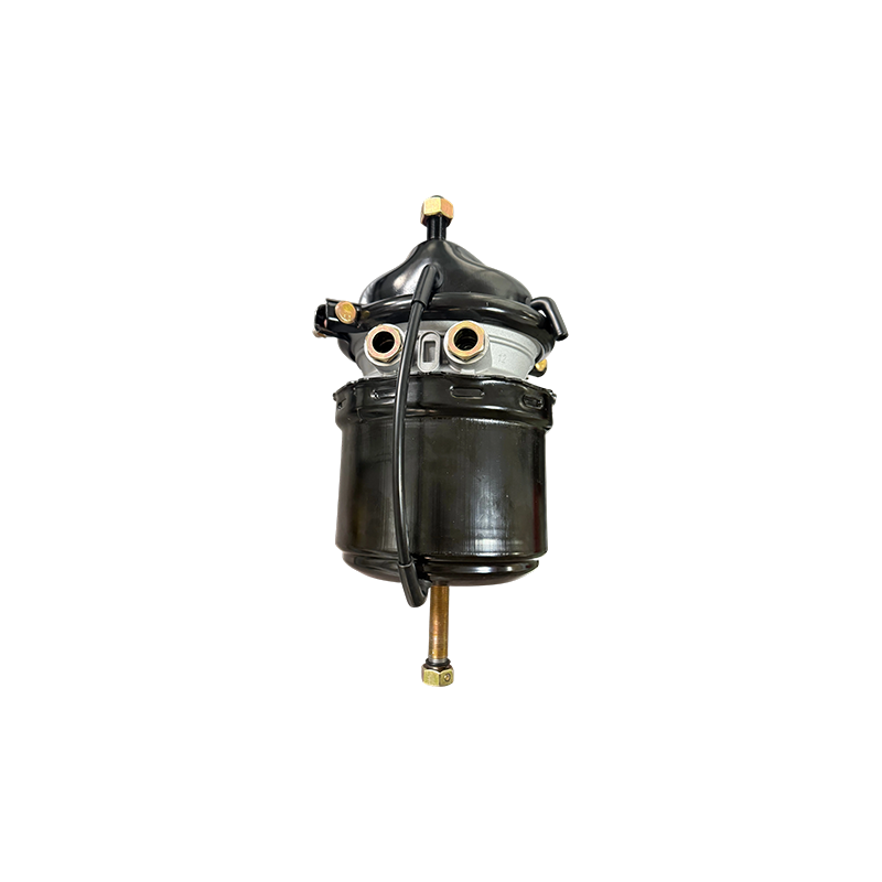 T2424DP short with Voss