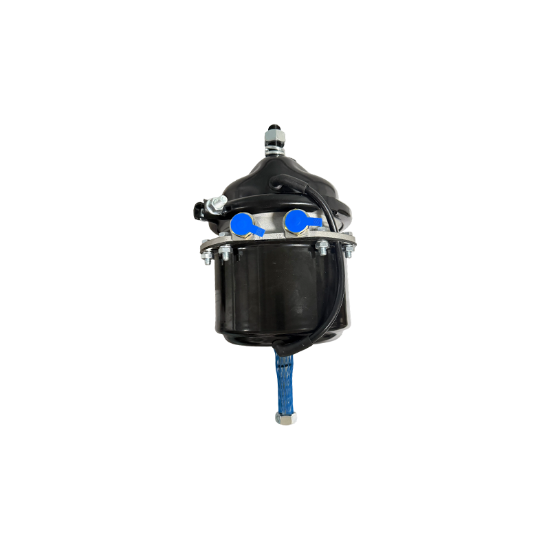 T2424DP short with Voss